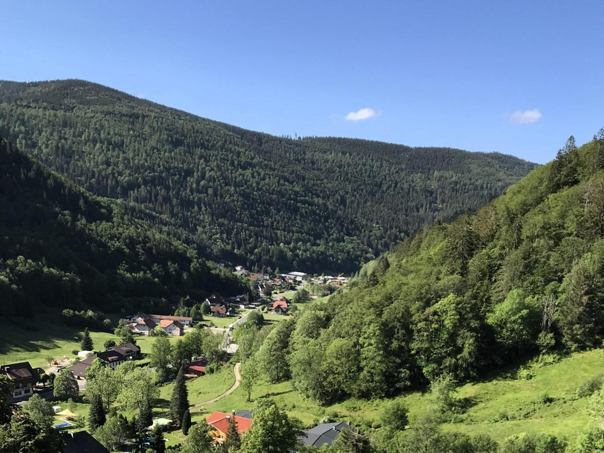 Ferienwohnung Ella, 95Qm, Terrasse Todtnau Esterno foto